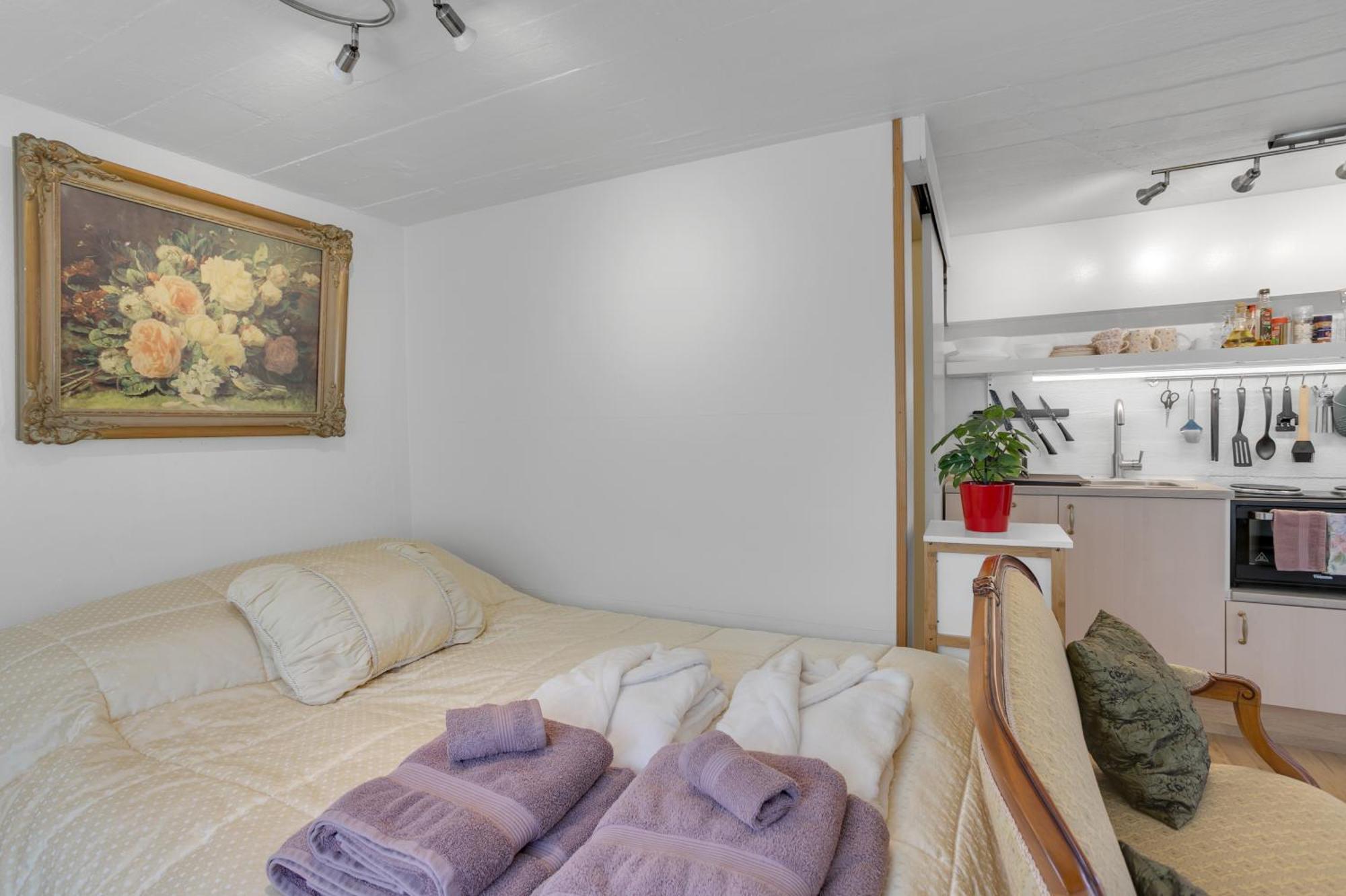 Lara Studio In Laugardalur Valley, Reykjavik Central Park And Botanical Garden, Private Entrance, Free Private Parking On Side ภายนอก รูปภาพ